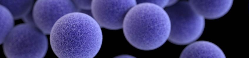 Methicillin-resistant Staphylococcus Aureus (MRSA) (CDC/ James Archer)